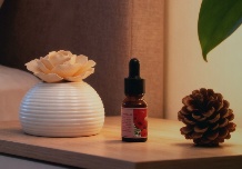 日常的香氛美学|陶瓷无火香薰